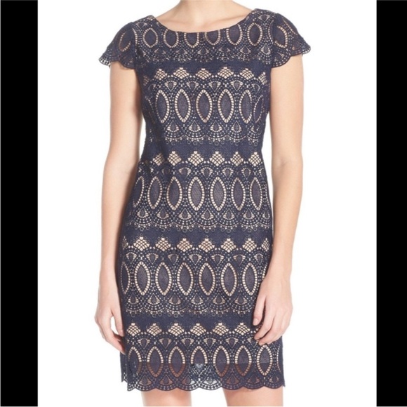 ELIZA J Navy & Nude Scalloped Lace Sheath Dress 18W - Picture 1 of 9